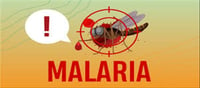 World Malaria Day: Ten indicators of the vector-borne illness...